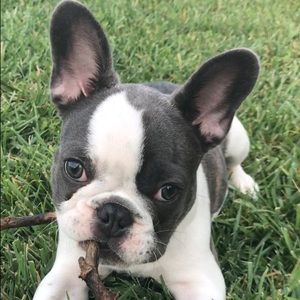 Meet your Posher, Melanie