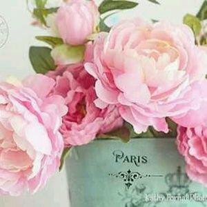 Meet your Posher, Cyndi