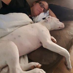 Meet your Posher, Misty