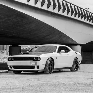 Meet your Posher, Adrian