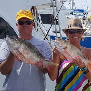 Meet your Posher, Jenny