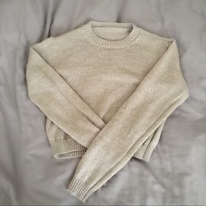 Brandy Melville Cropped Sweater