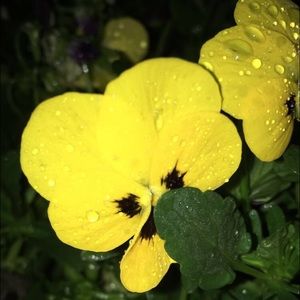 Meet your Posher, Katherine