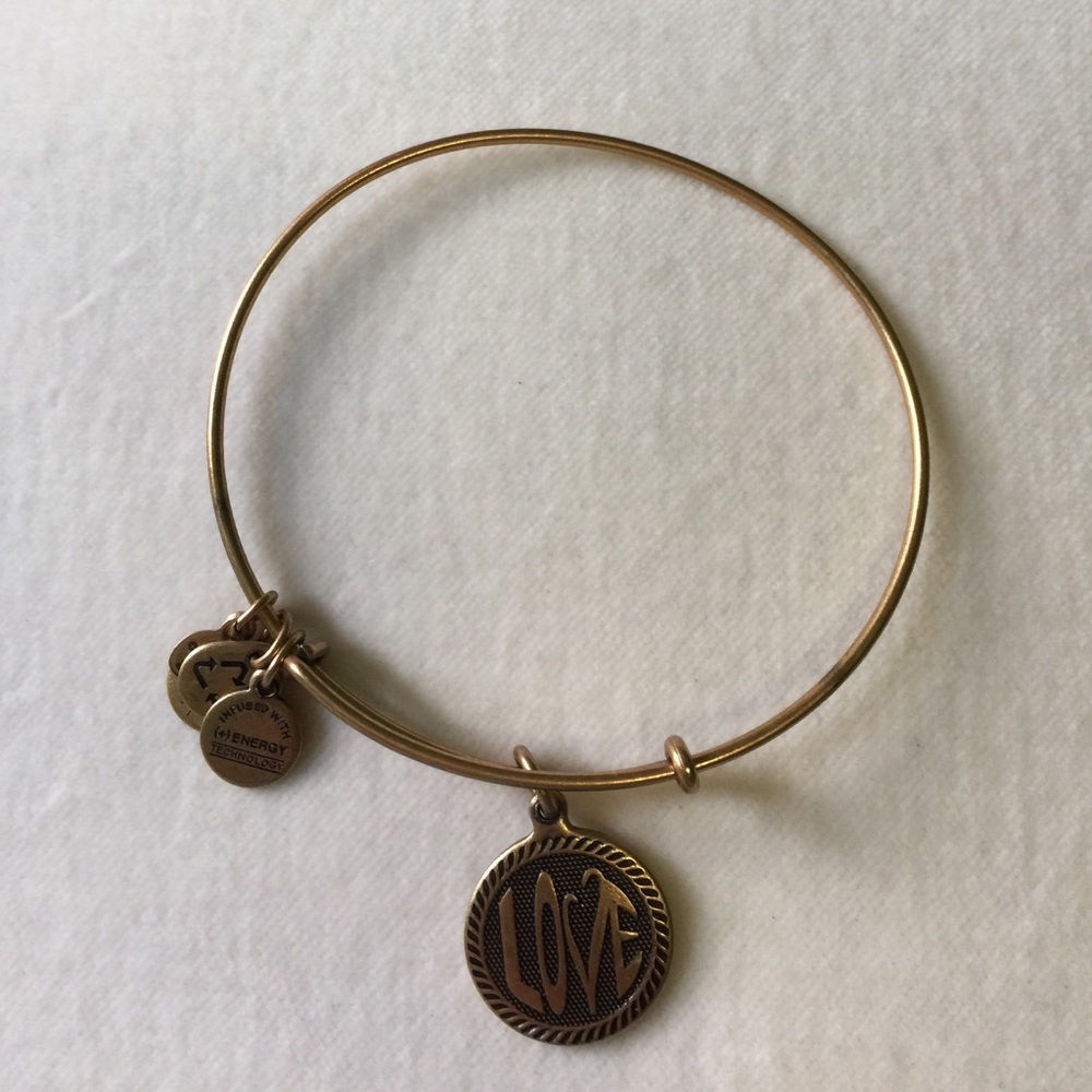 Alex and Ani LOVE charm bracelet