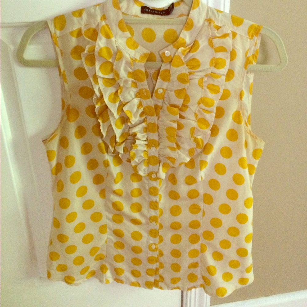 The Limited blouse