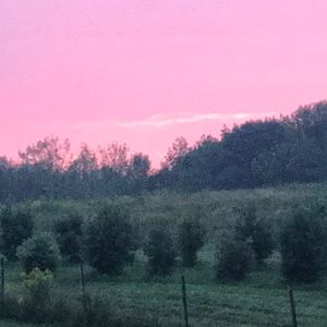 Meet your Posher, Sierra