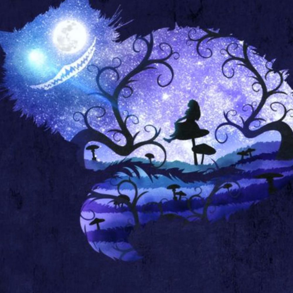 Meet your Posher, Shelbee