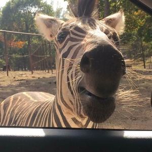 Meet your Posher, Micheal