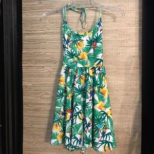 American Apparel Figure Skater Dress