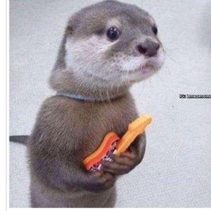 Meet your Posher, Hugo