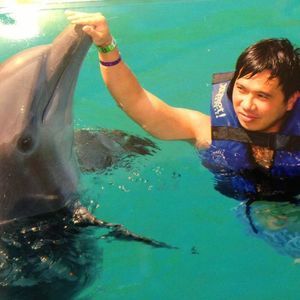 Meet your Posher, Tommy