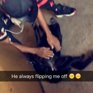 Meet your Posher, Quincy