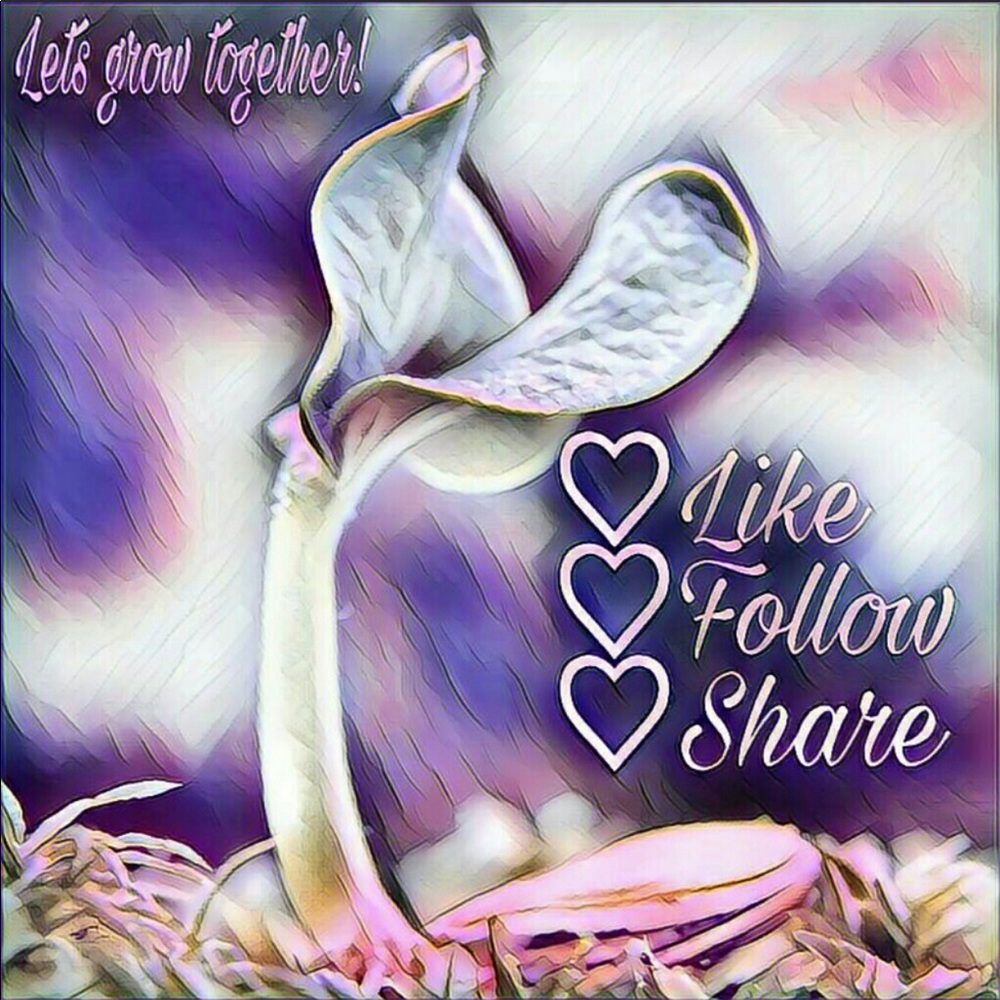 Help me get to 250K followers. I'll help you 2!
