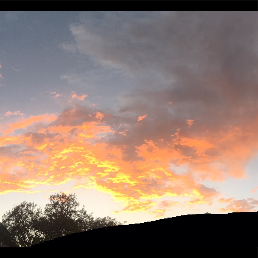 Meet your Posher, Aurayel