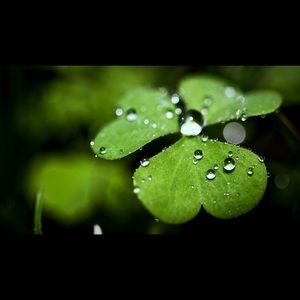 Meet your Posher, Lien