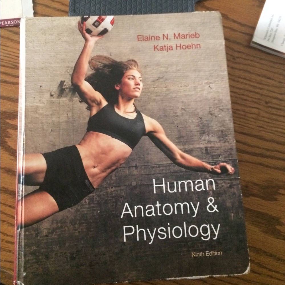anatomy and physiology textbook