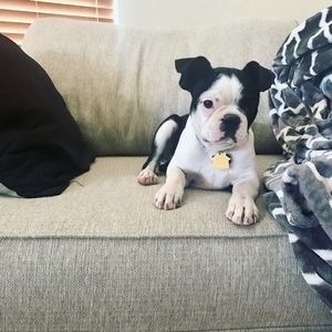 Meet your Posher, Sydney