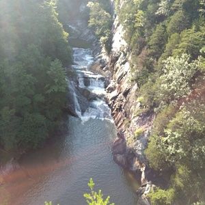 Meet your Posher, Joy