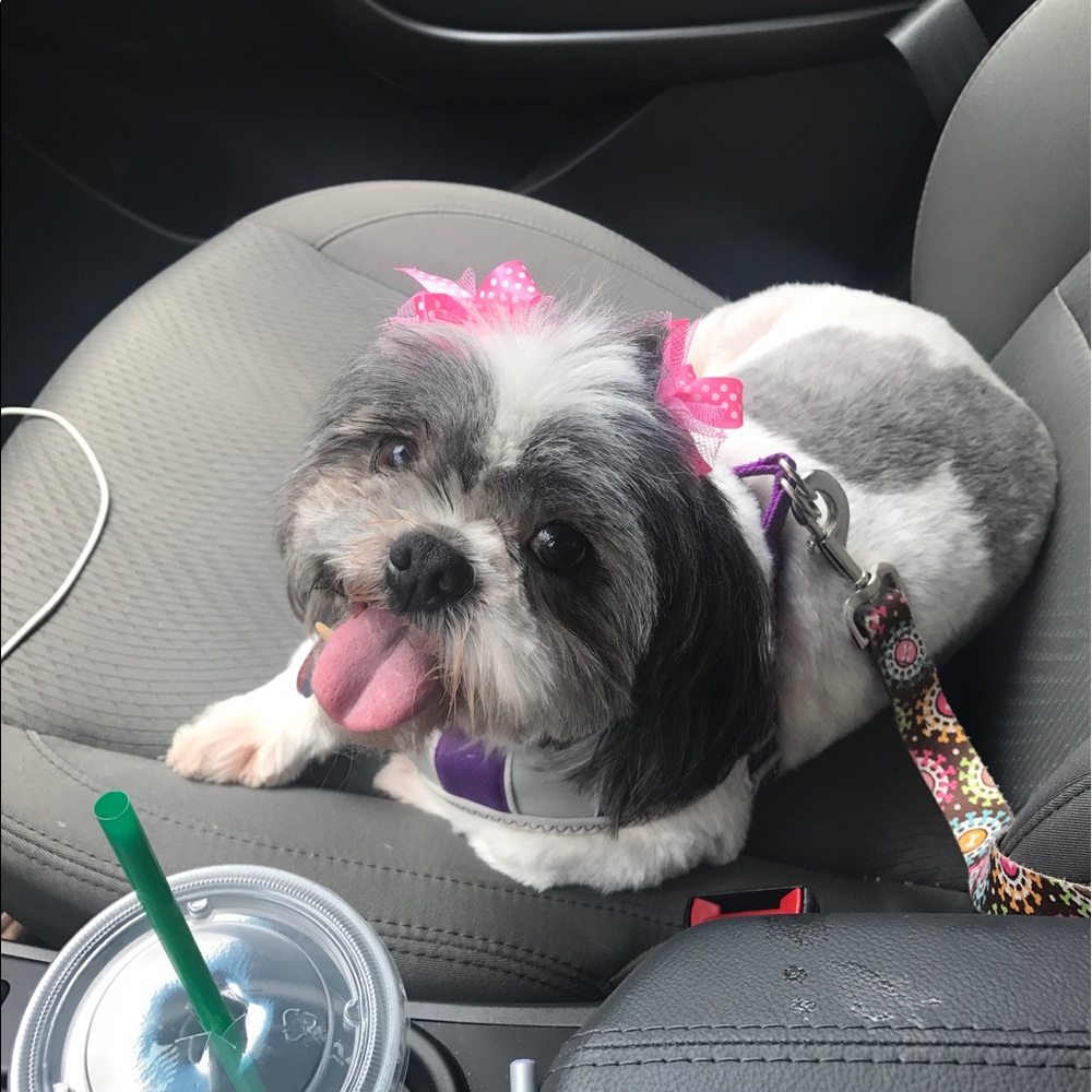 Meet your Posher, Kristen