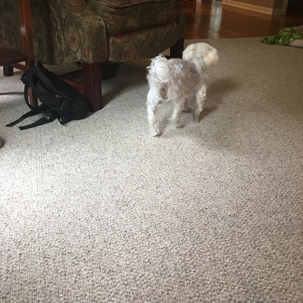 Meet your Posher, Marissa