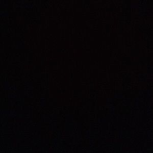 Meet your Posher, Paxton