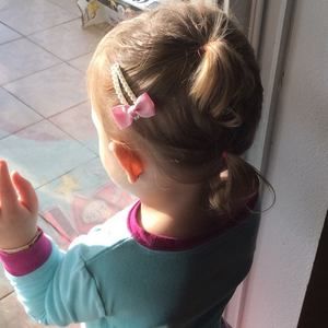 Meet your Posher, Teddy