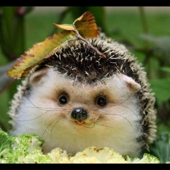 Gratitude is a choice...First, OPEN THE DOOR! - Picture 8 of 8