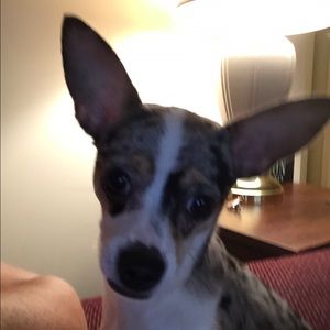 Meet your Posher, Ann