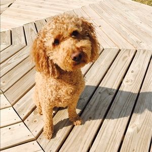 Meet your Posher, Erica