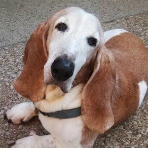 Meet your Posher, Ashly