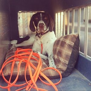 Meet your Posher, James