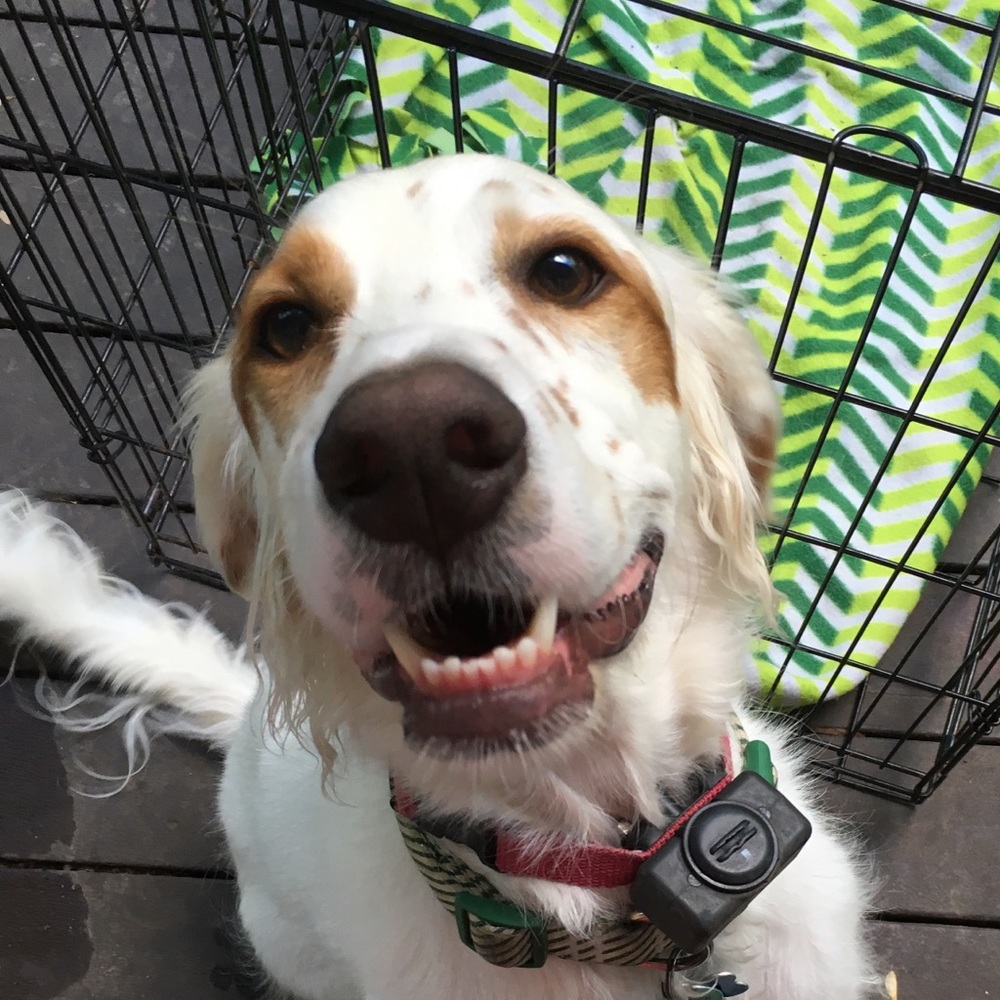 Meet your Posher, Tia