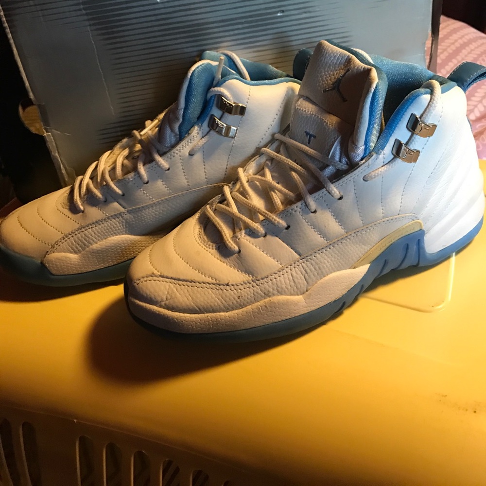 Air Jordan retro 12