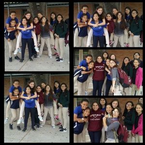 Meet your Posher, Brittney