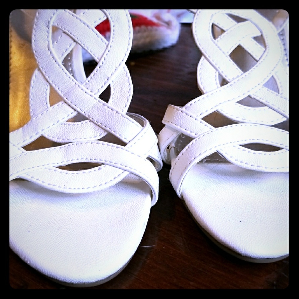 Dexter wedges