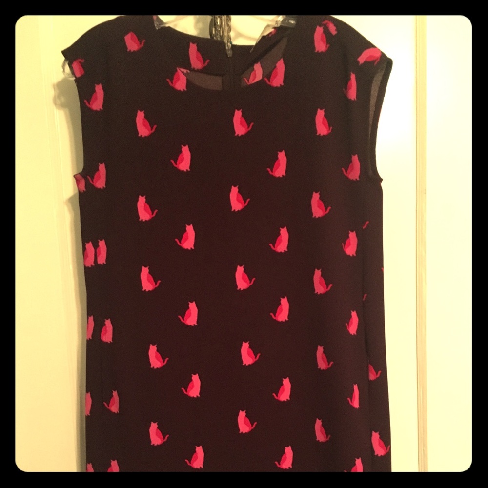 Loft cat shift dress