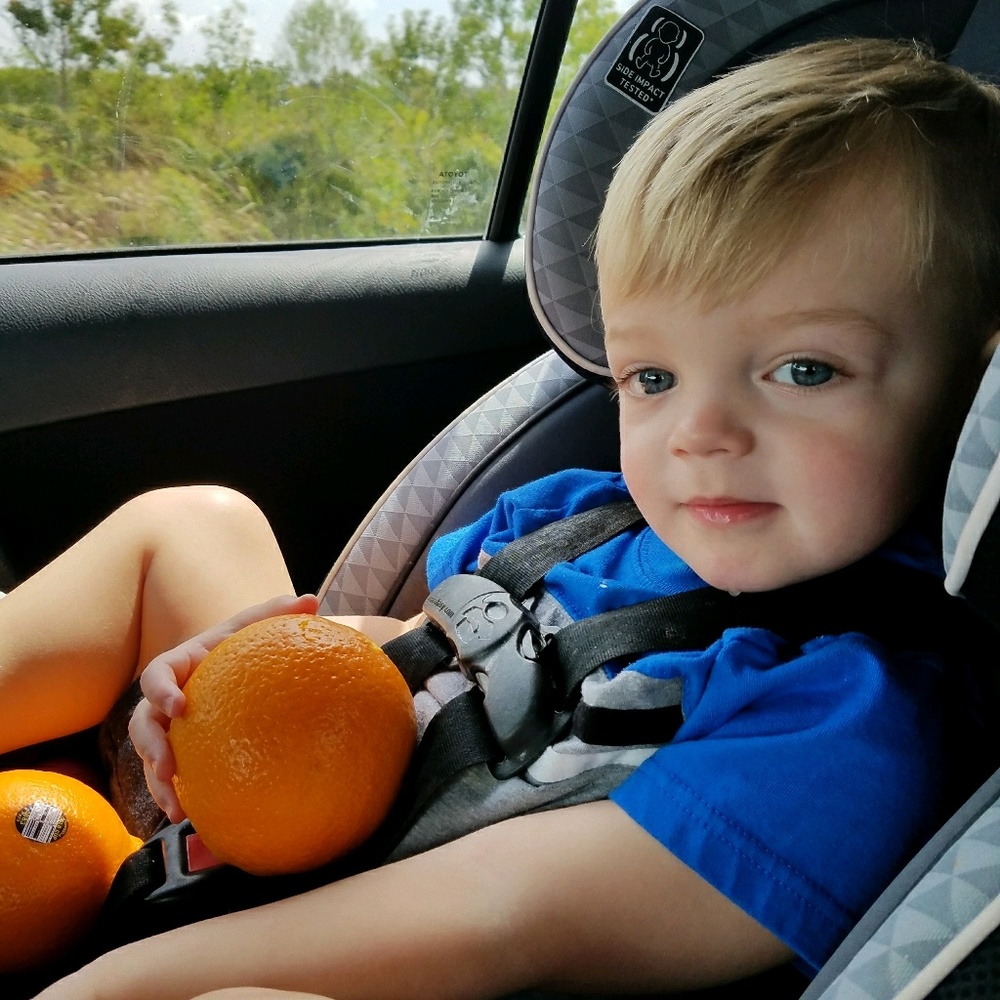 Meet your Posher, Wendy