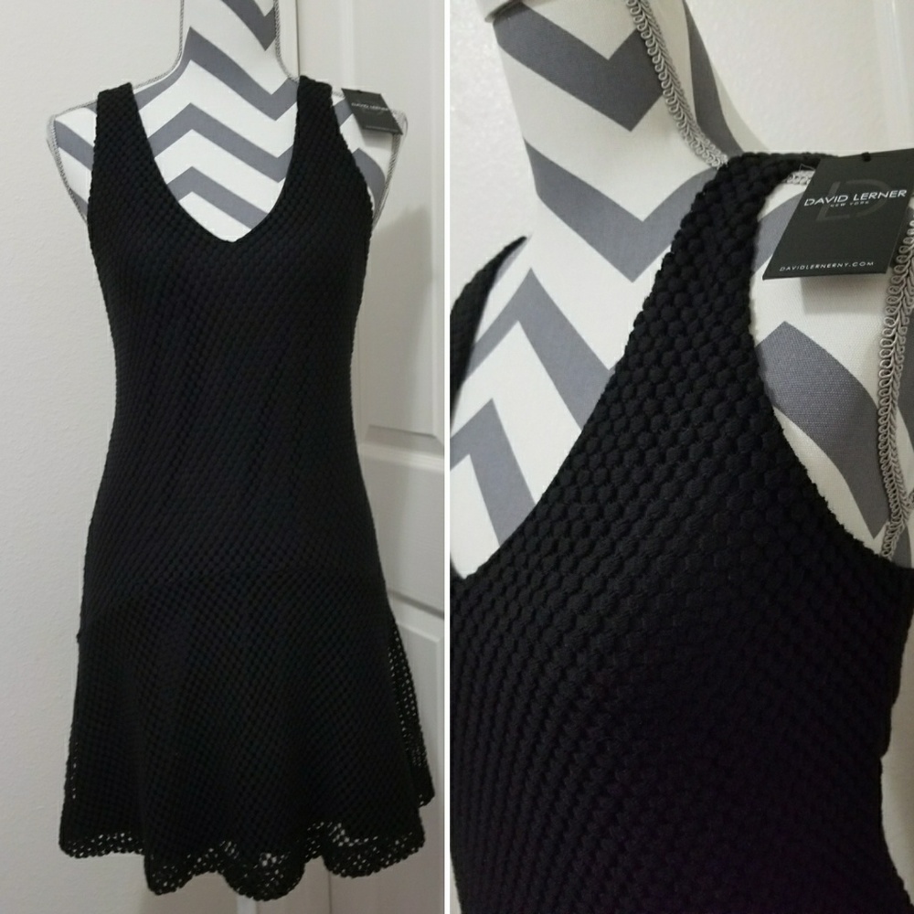 NWT* David Lerner New York Flounce Lace Dress*