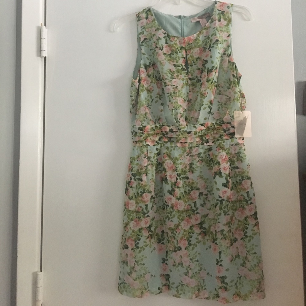 NWT Lovely Floral Dress - Picture 5 of 6