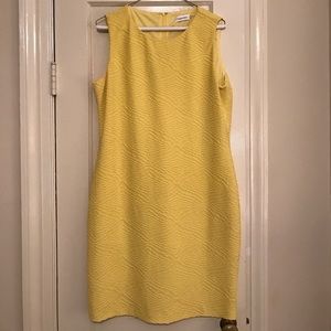 Calvin Klein Sleeveless Shift Dress