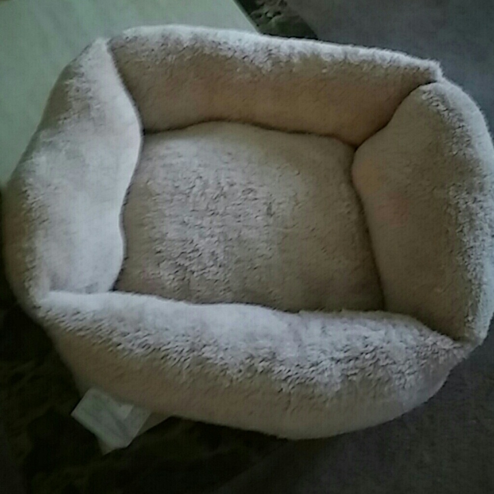 Cat Bed