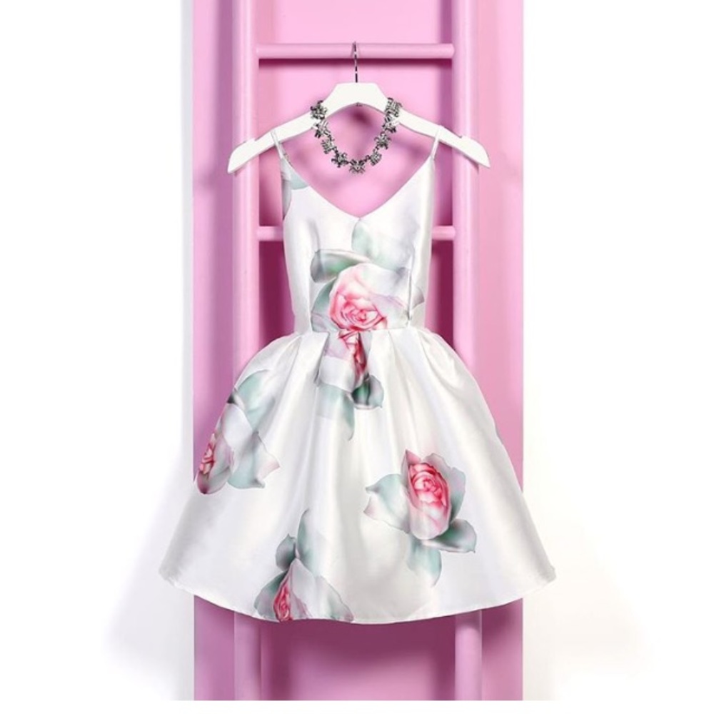 NWT HONEY Rose Garden party dress