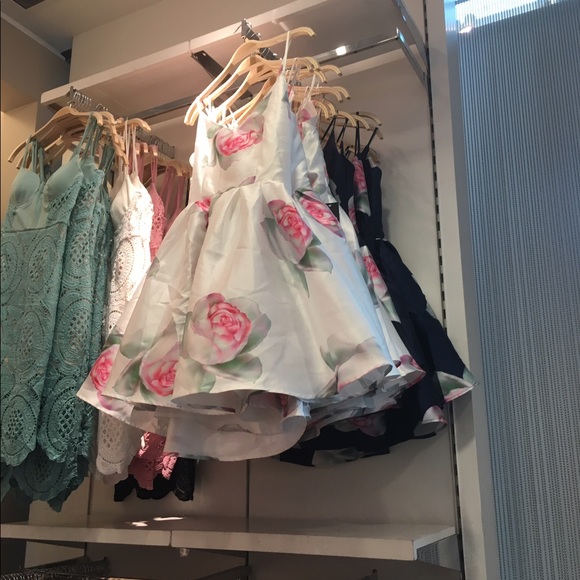 NWT HONEY Rose Garden party dress - Picture 2 of 4