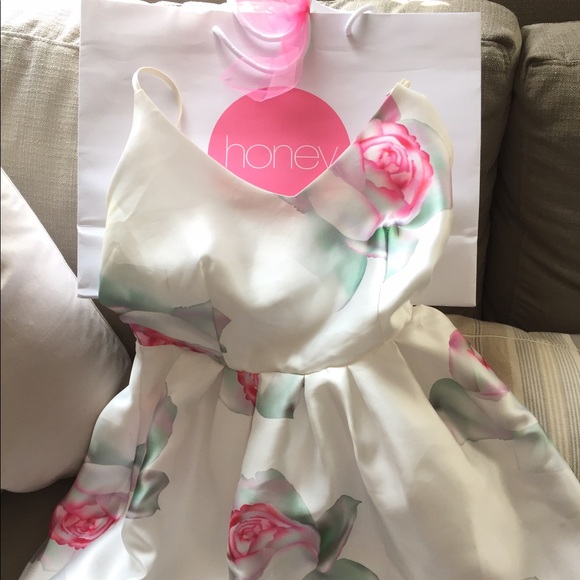 NWT HONEY Rose Garden party dress - Picture 4 of 4
