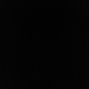 Meet your Posher, Winston