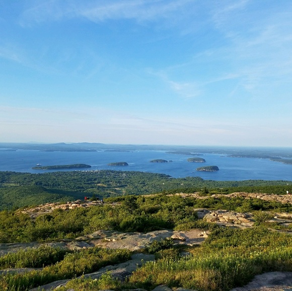 Meet your Posher, Daniel - Picture 1 of 1