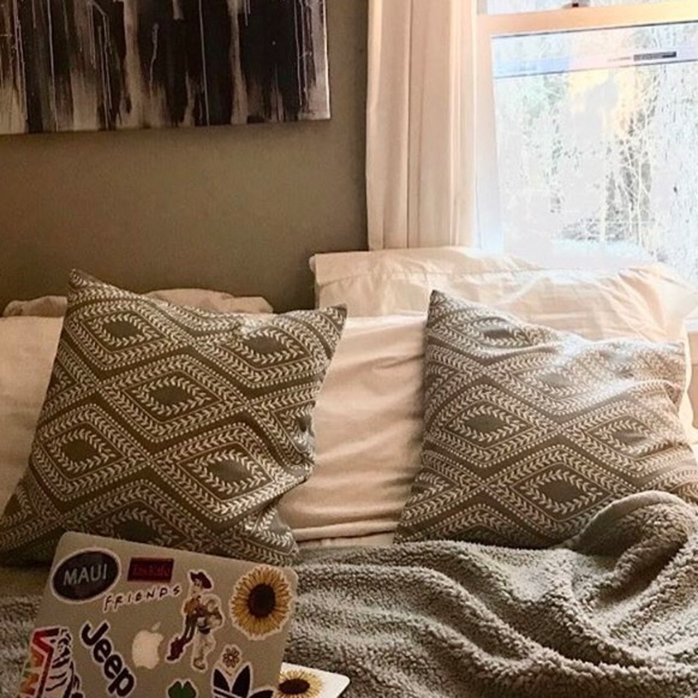 Two Throw pillows