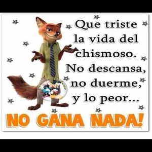 Meet your Posher, Adi