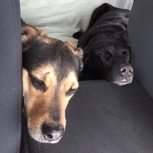 Meet your Posher, Emma