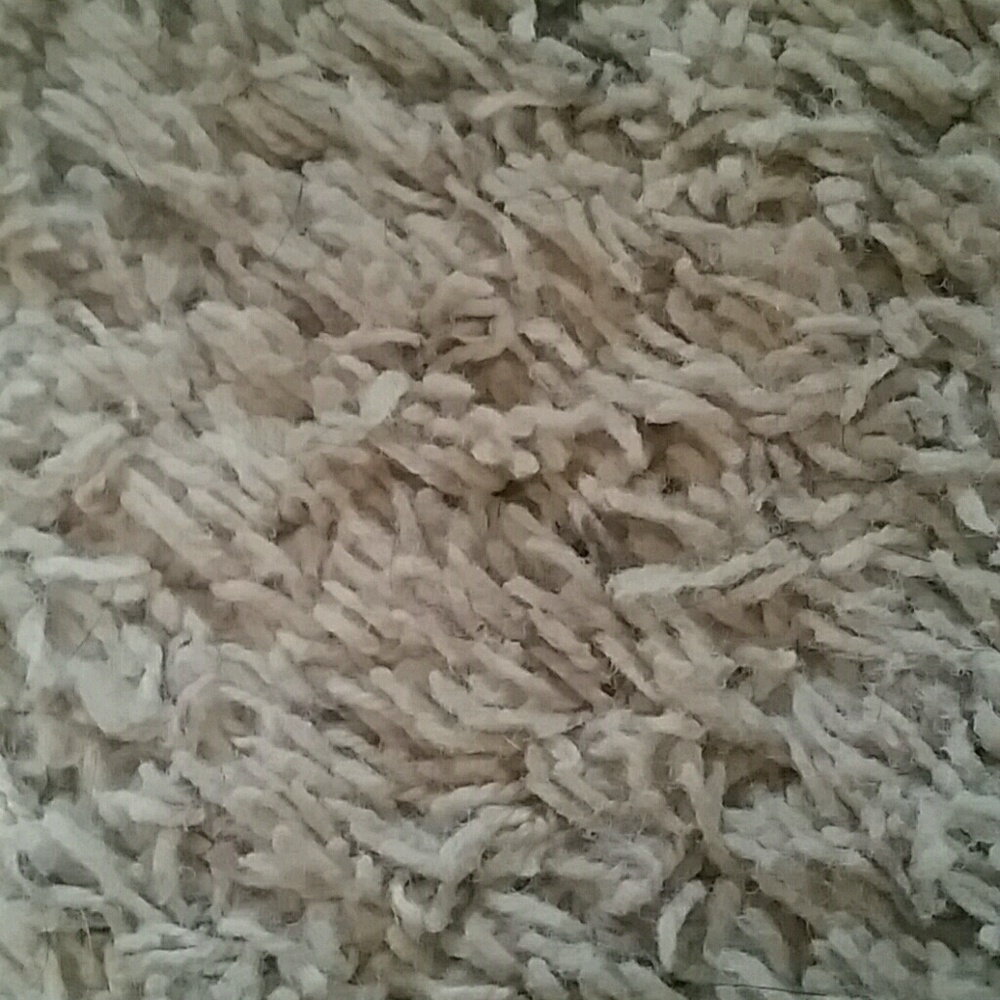 Meet your Posher, Ella